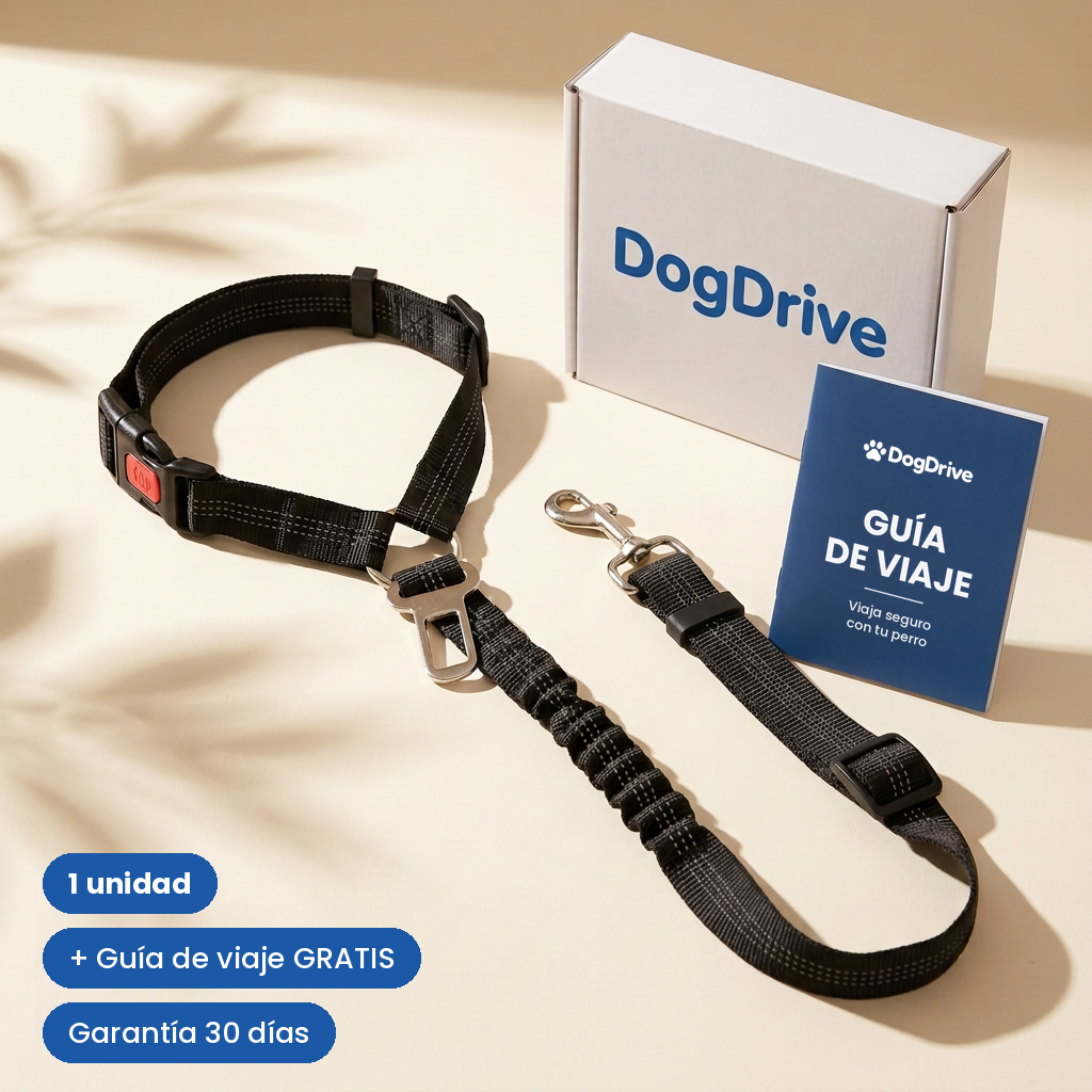 Cinturón de seguridad para perros DogDrive, 1 unidad con guía de viaje