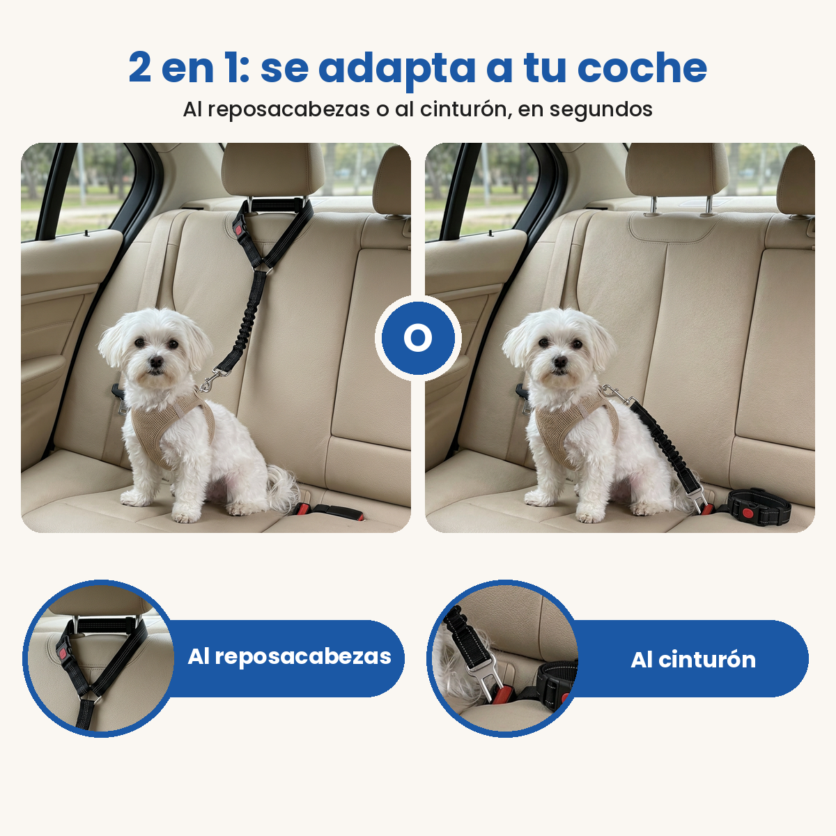 Cinturón para perros 2 en 1: reposacabezas o cinturón de seguridad
