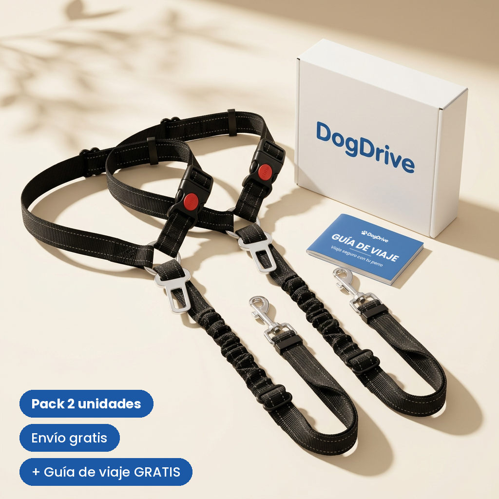 Pack de 2 cinturones de seguridad para perros DogDrive